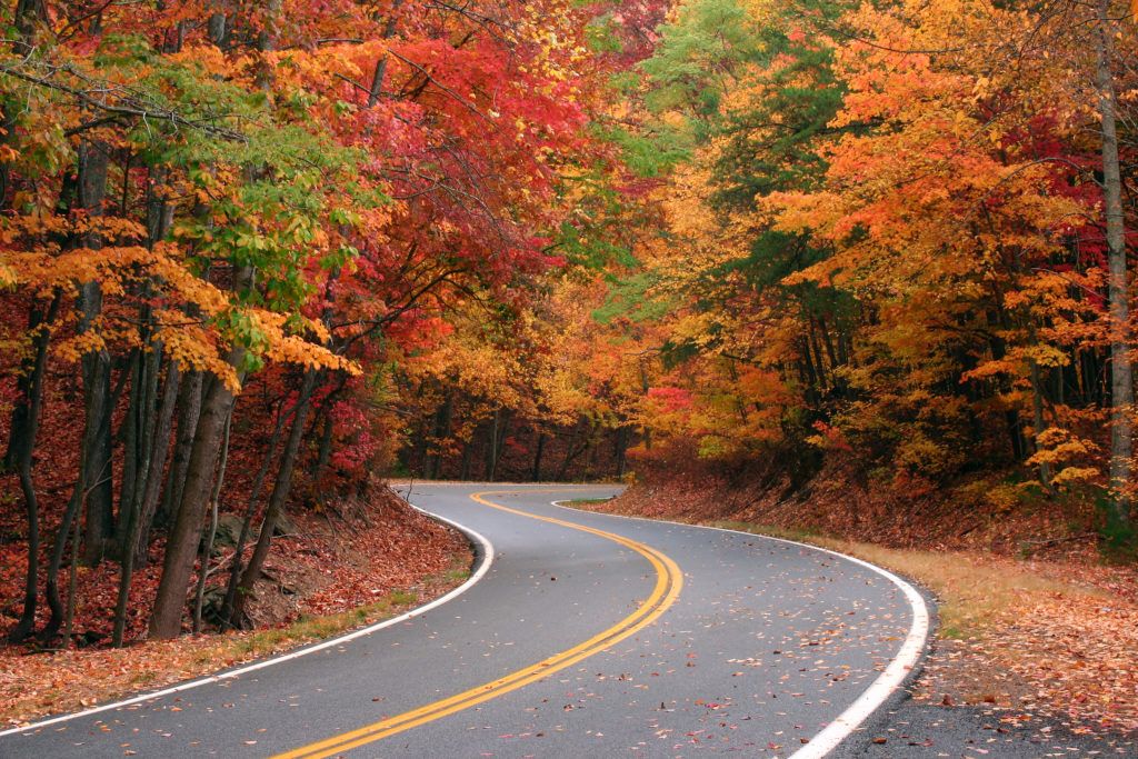 Waterproofing NJ Fall Leaves