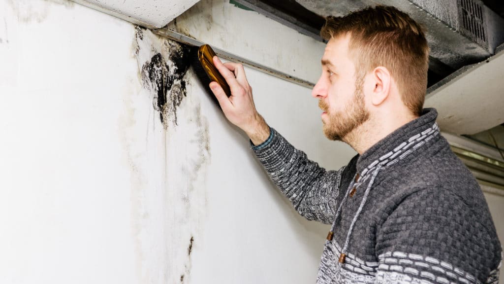 Man cleaning mold in his NJ basement