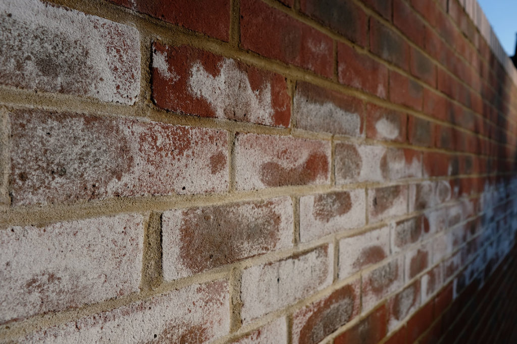 Efflorescense on brick basement walls in NJ