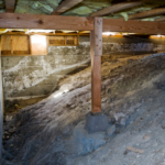 Moldy crawl space