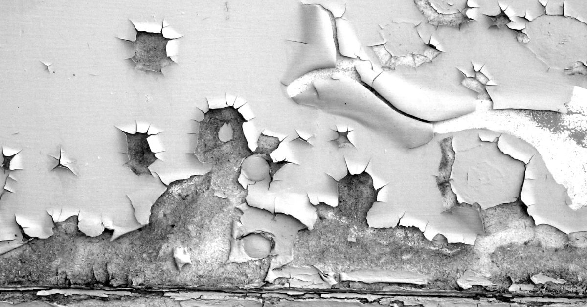 peeling-flaking-paint-from-basement-water-in-nj-home Peeling and flaking paint from basement water in a new jersey home