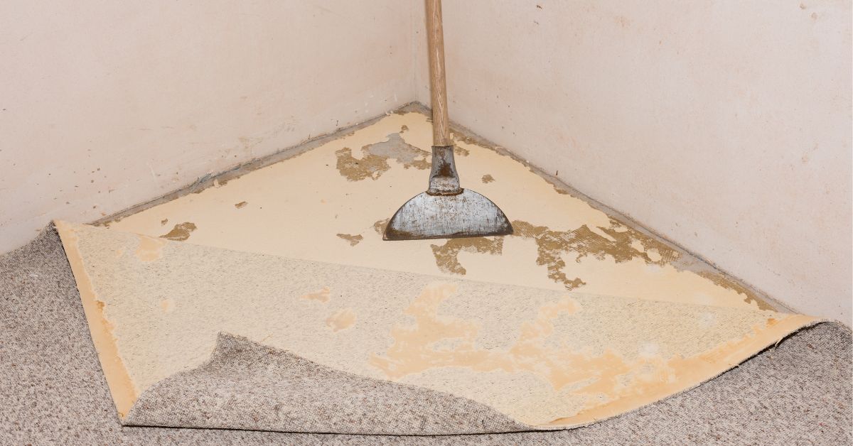 wet-basement-carpet-in-new-jersey-home Wet basement carpet in new jersey home