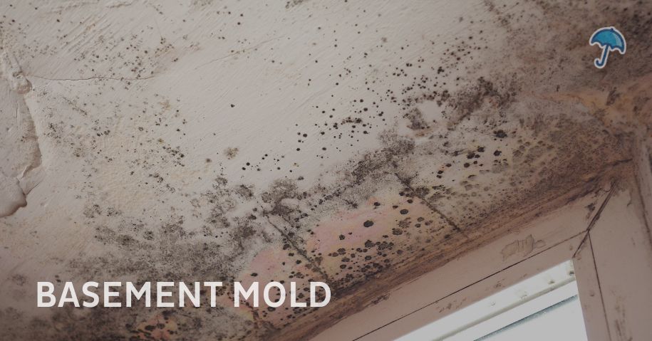 Basement Mold Prevention in New Jersey
