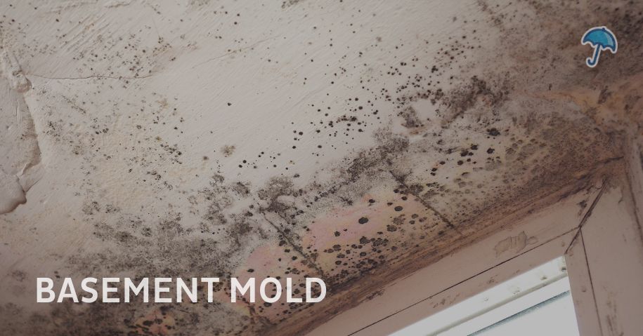 basement-mold-nj Basement Mold Prevention in New Jersey