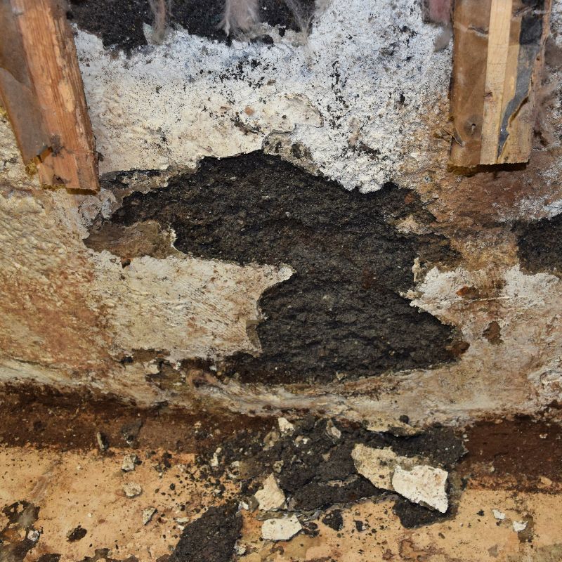 Cracked and crumbling basement walls because of basement water