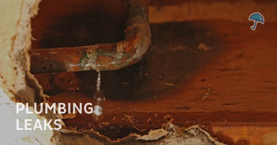plumbing-leaks-basement-water-nj