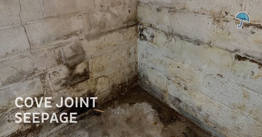 Cove joint basement seepage