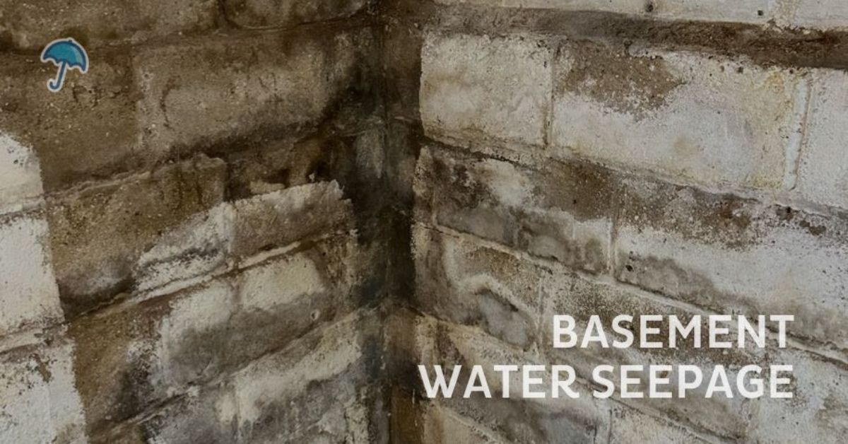 How to Control and Prevent Basement Seepage Waterproofing NJ