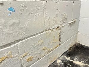 Evidence of Water Damage along the wall in Westfield, NJ